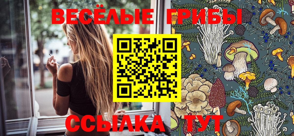 Галлюциногенные грибы MAGIC MUSHROOMS Киселёвск