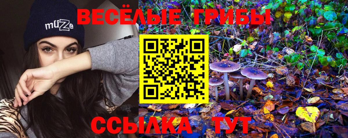 Псилоцибиновые грибы прущие грибы  Вход с VPN  Киселёвск 